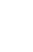 優(yōu)質小麥
